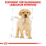 ROYAL CANIN Labrador Retriever Puppy Welpenfutter trocken 3 kg