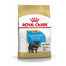 ROYAL CANIN Yorkshire Terrier Puppy Welpenfutter trocken 1,5 kg