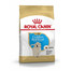 ROYAL CANIN Golden Retriever Puppy Welpenfutter trocken 12 kg