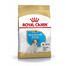 ROYAL CANIN Jack Russell Terrier Puppy Welpenfutter trocken 3 kg