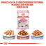ROYAL CANIN KITTEN Nassfutter in Mousse für Kätzchen 12x85g