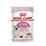 ROYAL CANIN KITTEN Nassfutter in Mousse für Kätzchen 12x85g
