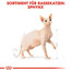 ROYAL CANIN Sphynx Adult Katzenfutter trocken 10 kg