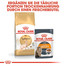 ROYAL CANIN Sphynx Adult Katzenfutter trocken 10 kg