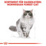 ROYAL CANIN Norwegian Forest Cat Adult Trockenfutter für Norwegische Waldkatzen 2 kg