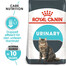 ROYAL CANIN Urinary Care Katzenfutter trocken für gesunde Harnwege 4 kg