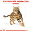 ROYAL CANIN Bengal Adult Katzenfutter trocken 10 kg