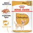 ROYAL CANIN Chihuahua Adult Hundefutter nass in Soße 12 x 85 g
