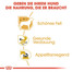 ROYAL CANIN Chihuahua Adult Hundefutter nass in Soße 12 x 85 g