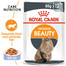 ROYAL CANIN Intense Beauty Katzenfutter nass in Gelee für schönes Fell 12 x 85 g
