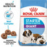 ROYAL CANIN GIANT Starter für tragende Hündin und Welpen 15 kg