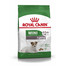 ROYAL CANIN MINI Ageing 12+ Trockenfutter für ausgewachsene Hunde, kleine Rassen 800 g