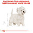ROYAL CANIN West Highland White Terrier Adult Hundefutter trocken 1,5 kg