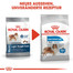 ROYAL CANIN LIGHT WEIGHT CARE MAXI Trockenfutter für große Hunde mit Neigung zu Übergewicht 3 kg