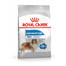 ROYAL CANIN LIGHT WEIGHT CARE MAXI Trockenfutter für große Hunde mit Neigung zu Übergewicht 3 kg