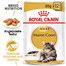 ROYAL CANIN Maine Coon Adult Katzenfutter nass 12 x 85 g