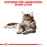 ROYAL CANIN Maine Coon Adult Katzenfutter nass 12 x 85 g