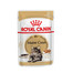 ROYAL CANIN Maine Coon Adult Katzenfutter nass 12 x 85 g