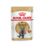 ROYAL CANIN British Shorthair Adult Katzenfutter nass für Britisch Kurzhaar 12x85 g