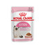 ROYAL CANIN KITTEN Nassfutter in Soße für Kätzchen 12x85g