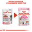 ROYAL CANIN KITTEN Nassfutter in Gelee für Kätzchen 12 x 85 g