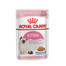 ROYAL CANIN KITTEN Nassfutter in Gelee für Kätzchen 12 x 85 g