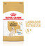 ROYAL CANIN Labrador Retriever Adult 5+ Trockenfutter für Hunde ab 5 Jahren 12kg