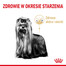 ROYAL CANIN Yorkshire Terrier 8+ Trockenfutter für ältere Hunde 1,5 kg