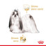 ROYAL CANIN Shih Tzu Adult Loaf  12 x 85 g
