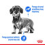 ROYAL CANIN LIGHT WEIGHT CARE Nassfutter für Hunde mit Neigung zu Übergewicht 12 x 85 g