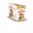 ROYAL CANIN Shih Tzu Adult Loaf  12 x 85 g