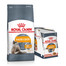 ROYAL CANIN Hair&Skin Care 10kg +  Intense BEAUTY  nass in Soße 85g x12