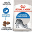ROYAL CANIN INDOOR 27 Trockenfutter für Wohnungskatzen 20 kg (2 x 10 kg)