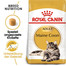 ROYAL CANIN Maine Coon Adult Katzenfutter trocken 20 kg (2 x 10 kg)