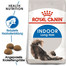 ROYAL CANIN INDOOR Longhair Trockenfutter für Wohnungskatzen mit langem Fell 20 kg (2 x 10 kg)