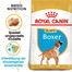 ROYAL CANIN Boxer Puppy Welpenfutter trocken 24 kg (2 x 12 kg)