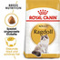 ROYAL CANIN Ragdoll Adult Katzenfutter trocken 20 kg (2 x 10 kg)
