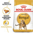 ROYAL CANIN Bengal Adult Katzenfutter trocken 20 kg (2 x 10 kg)