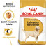 ROYAL CANIN Labrador Retriever Adult Hundefutter trocken 24 kg (2 x 12 kg)