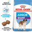 ROYAL CANIN GIANT Junior Welpenfutter trocken für sehr große Hunde 30 kg (2 x 15 kg)