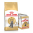 ROYAL CANIN British Shorthair Katzenfutter trocken für Britisch Kurzhaar 10 kg + Nassfutter für Britisch Kurzhaar 12x85 g