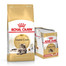 ROYAL CANIN Maine Coon Adult Katzenfutter trocken 10 kg + Maine Coon Adult nass 12 x 85 g