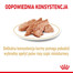 ROYAL CANIN Pomeranian Adult 12x85g