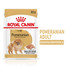ROYAL CANIN Pomeranian Adult 12x85g