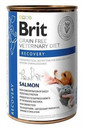 BRIT Veterinary Diet Recovery Salmon Nassfutter für Hunde und Katzen 400 g