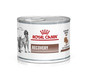ROYAL CANIN Vet dog cat recovery 195 g Diät-Alleinfuttermittel für ausgewachsene Hunde und ausgewachsene Katzen