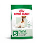 ROYAL CANIN MINI Adult 8+ Trockenfutter für ältere kleine Hunde 800 g