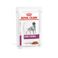 ROYAL CANIN Dog Early Renal 12 x 100 g