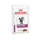 ROYAL CANIN Cat Early Renal für ausgewachsene Katzen 12 x 85g